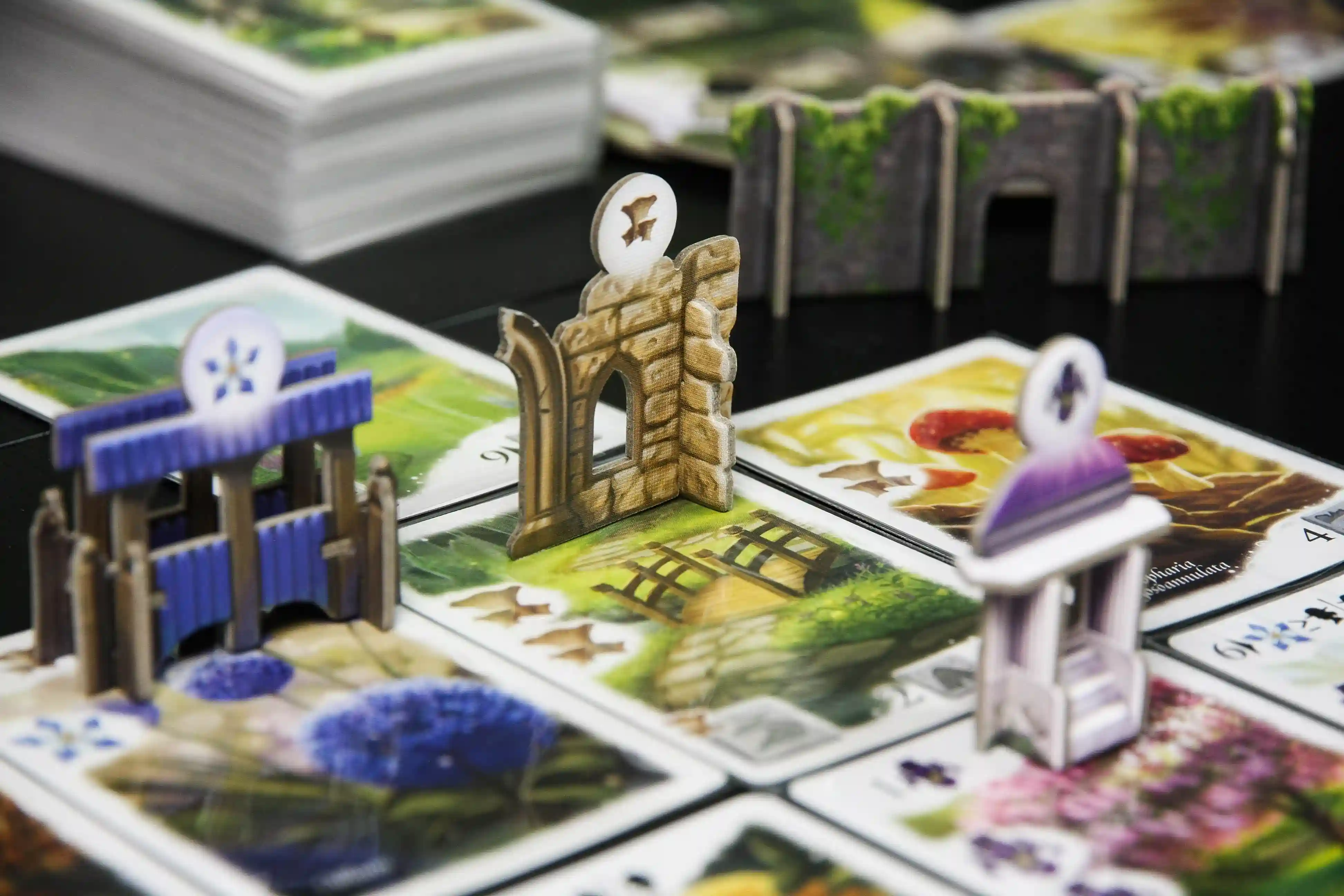 Flourish Signature Edition - Image 14