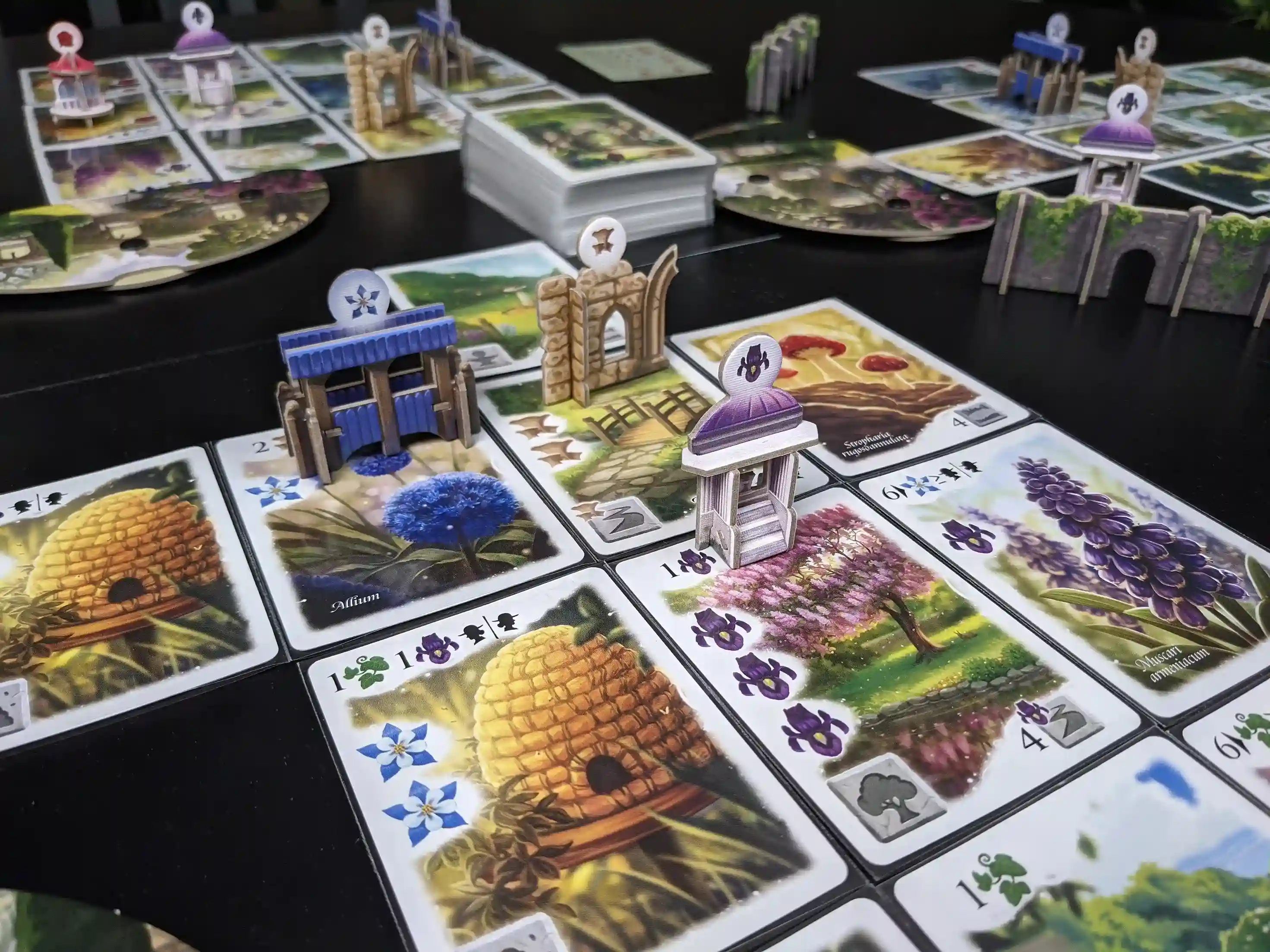 Flourish Signature Edition - Image 17