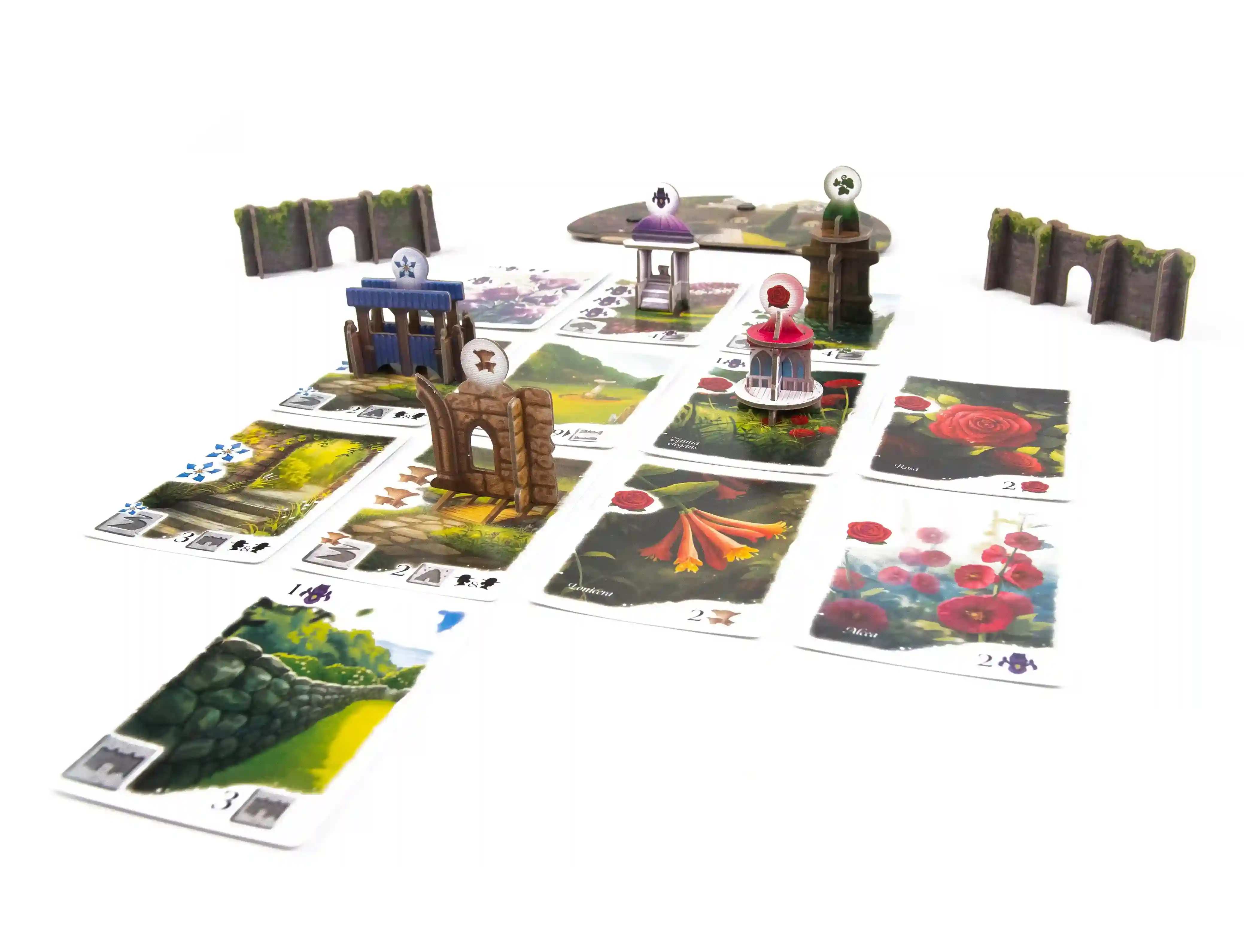 Flourish Signature Edition - Image 7